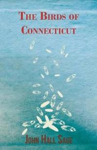 The Birds Of Connecticut