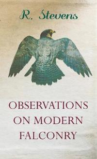 Observations On Modern Falconry