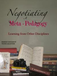 Negotiating a Meta-Pedagogy