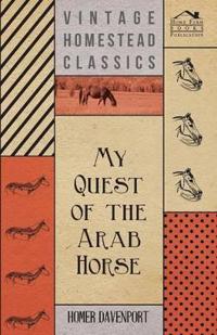 My Quest Of The Arab Horse