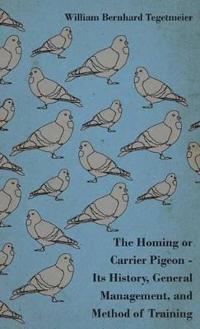 The Homing Or Carrier Pigeon
