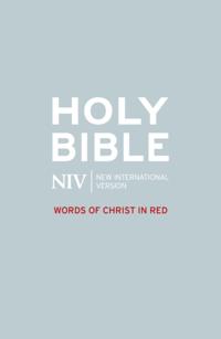 New International Version