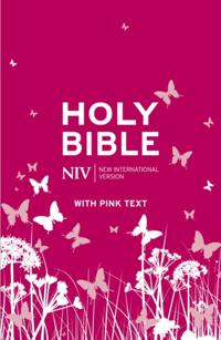 New International Version