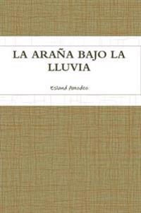 LA Arana Bajo La Lluvia