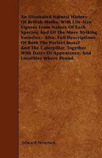 An Illustrated Natural History Of British Moths. With Life-Size Figures From Nature Of Each Species, And Of The More Striking Varieties - Also, Full Descriptions Of Both The Perfect Insect And The Caterpillar, Together With Dates Of Appearance, And Locali