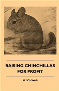 Raising Chinchillas For Profit