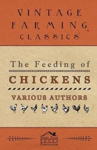 The Feeding Of Chickens
