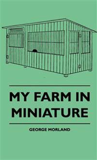 My Farm In Miniature