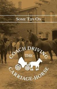 Some Tips On Coach Driving - The Carriage-Horse