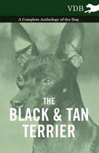 The Black And Tan Terrier - A Complete Anthology of the Dog -