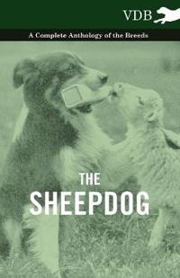 Bokomslag för "The Sheepdog - A Complete Anthology of the Breeds"