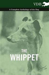 The Whippet - A Complete Anthology of the Dog