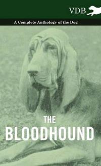 Bokomslag för "The Bloodhound - A Complete Anthology of the Dog -"
