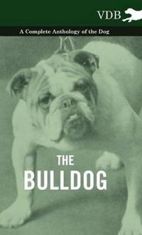 Bokomslag för "The Bulldog - A Complete Anthology of the Dog -"