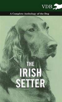 Bokomslag för "The Irish Setter - A Complete Anthology of the Dog"