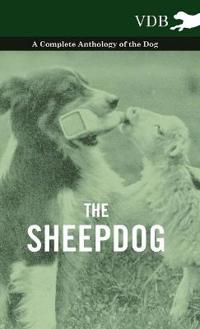 Bokomslag för "The Sheepdog - A Complete Anthology of the Breeds"