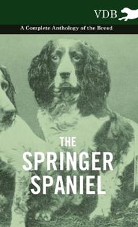 Bokomslag för "The Springer Spaniel - A Complete Anthology of the Breed"
