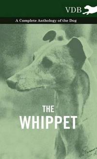 Bokomslag för "The Whippet - A Complete Anthology of the Dog"