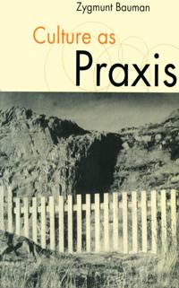 Published in association with Theory, Culture & Society