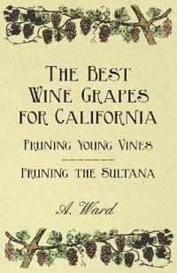 The Best Wine Grapes for California - Pruning Young Vines - Pruning the Sultana