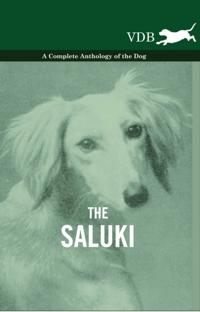 Saluki - A Complete Anthology of the Dog