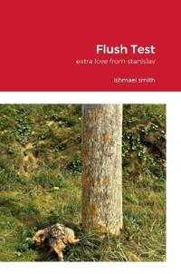 Bokomslag för "Flush Test"
