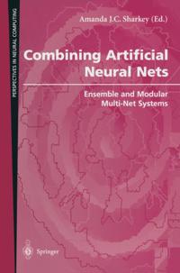 Perspectives in Neural Computing