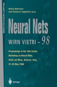 Perspectives in Neural Computing