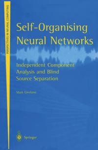 Perspectives in Neural Computing