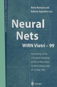 Perspectives in Neural Computing