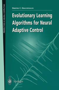 Perspectives in Neural Computing