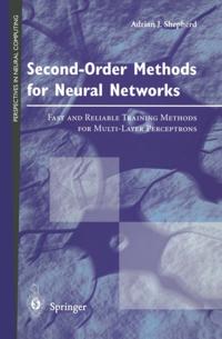 Perspectives in Neural Computing