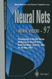 Perspectives in Neural Computing