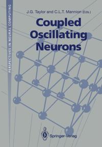 Perspectives in Neural Computing