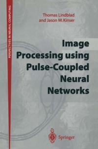Perspectives in Neural Computing