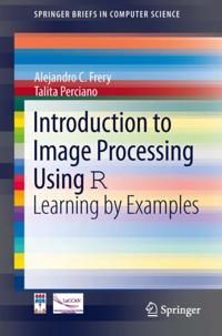SpringerBriefs in Computer Science