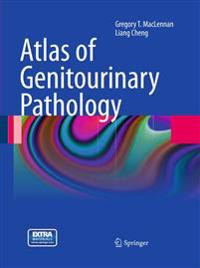 Atlas of Genitourinary Pathology