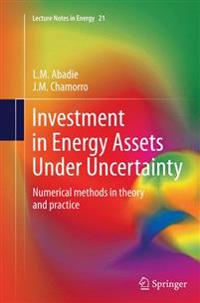 Investment in Energy Assets Under Uncertainty
