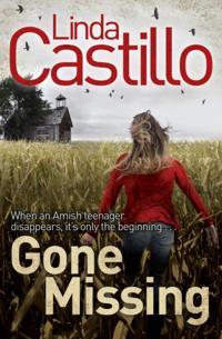 Kate Burkholder series
