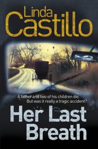Kate Burkholder series