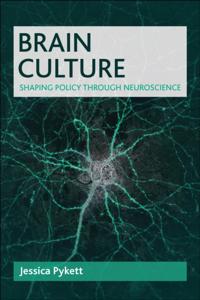 Brain Culture