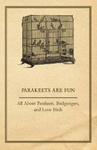 Parakeets are Fun - All About Parakeets, Budgerigars, And Love Birds