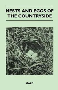 Nests and Eggs of the Countryside