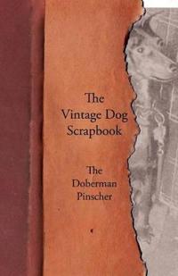 The Vintage Dog Scrapbook - The Doberman Pinscher