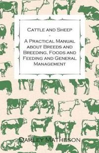 Cattle and Sheep - A Practical Manual About Breeds and Breeding, Foods and Feeding and General Management