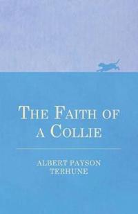 The Faith of a Collie