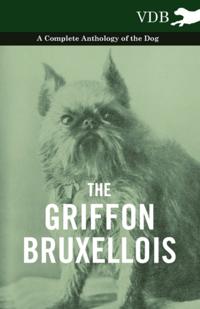 Griffon Bruxellois - A Complete Anthology of the Dog