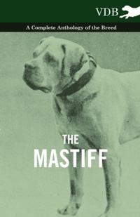 Mastiff - A Complete Anthology of the Breed
