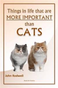 Things in Life That are More Important Than Cats