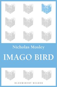 Imago Bird